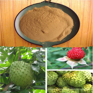 Anti-Cancer Annona Squamosa Herbal Extract